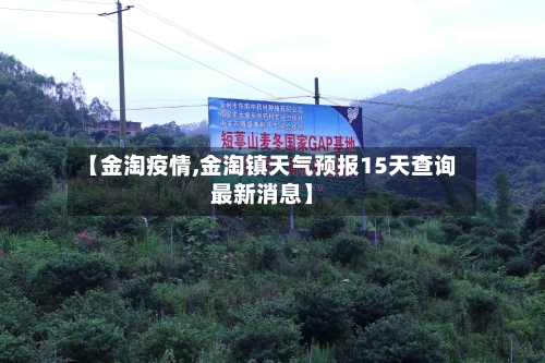 【金淘疫情,金淘镇天气预报15天查询最新消息】-第2张图片