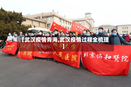 【武汉疫情青海,武汉疫情过程全梳理】-第3张图片