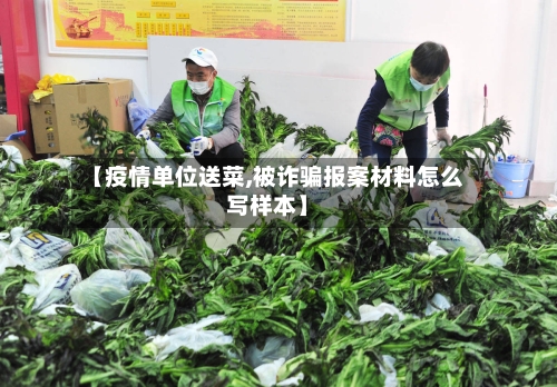 【疫情单位送菜,被诈骗报案材料怎么写样本】-第3张图片