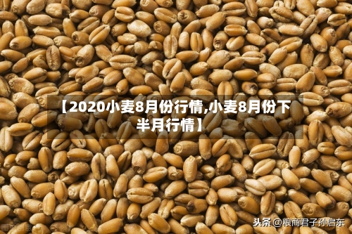 【2020小麦8月份行情,小麦8月份下半月行情】-第3张图片
