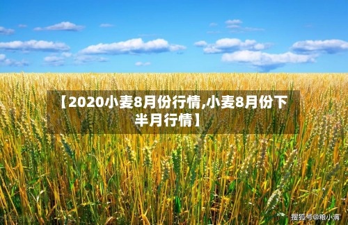 【2020小麦8月份行情,小麦8月份下半月行情】