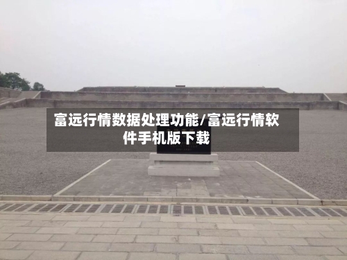 富远行情数据处理功能/富远行情软件手机版下载