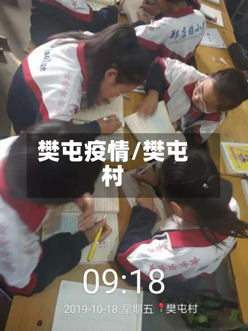 樊屯疫情/樊屯村-第3张图片