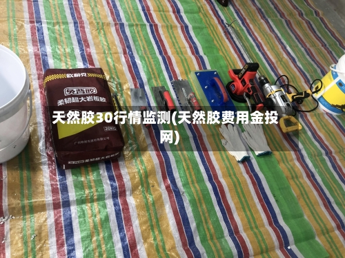 天然胶30行情监测(天然胶费用金投网)-第3张图片