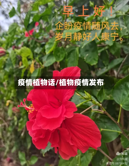 疫情植物话/植物疫情发布