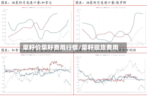 菜籽价菜籽费用行情/菜籽现货费用-第3张图片