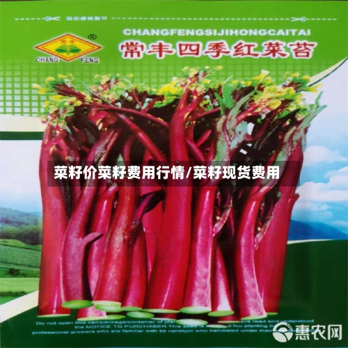 菜籽价菜籽费用行情/菜籽现货费用