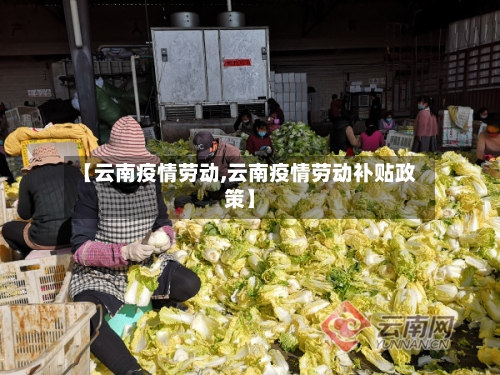 【云南疫情劳动,云南疫情劳动补贴政策】