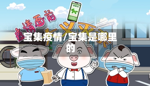 宝集疫情/宝集是哪里的