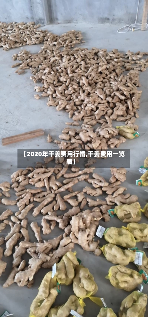 【2020年干姜费用行情,干姜费用一览表】