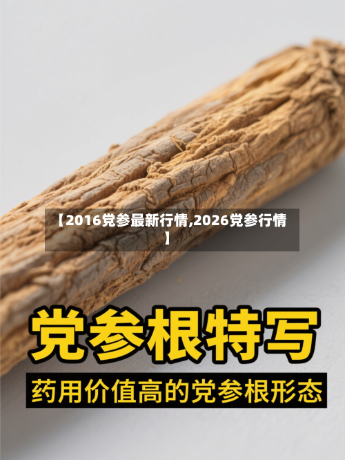 【2016党参最新行情,2026党参行情】-第3张图片