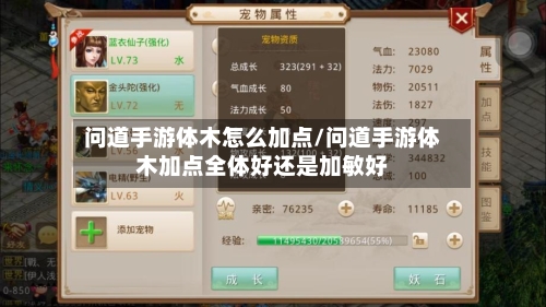 问道手游体木怎么加点/问道手游体木加点全体好还是加敏好