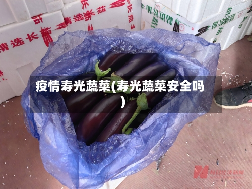 疫情寿光蔬菜(寿光蔬菜安全吗)