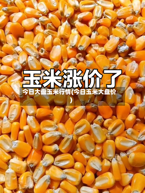 今日大盘玉米行情(今日玉米大盘价)-第3张图片