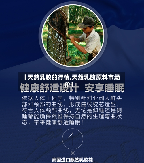 【天然乳胶的行情,天然乳胶原料市场价】-第2张图片