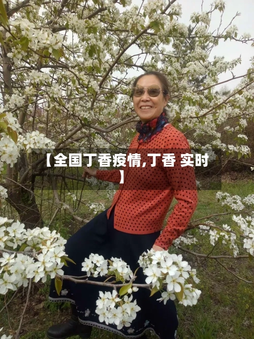 【全国丁香疫情,丁香 实时】-第2张图片