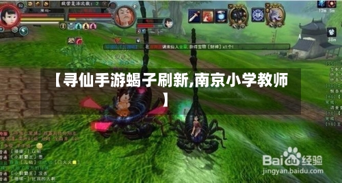 【寻仙手游蝎子刷新,南京小学教师】