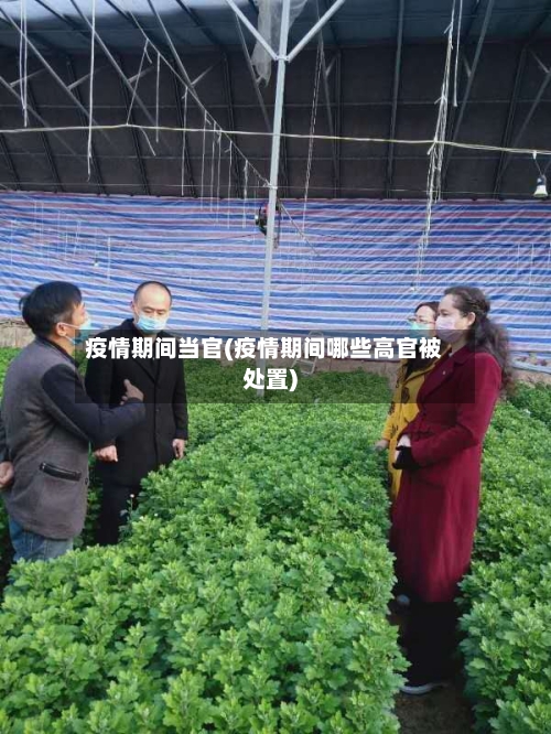疫情期间当官(疫情期间哪些高官被处置)-第2张图片