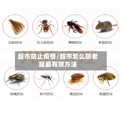 超市防止疫情/超市怎么防老鼠最有效方法
