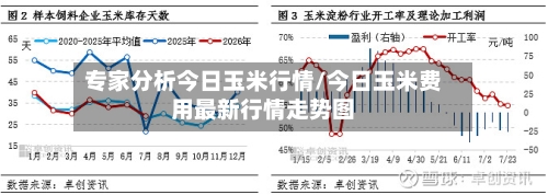专家分析今日玉米行情/今日玉米费用最新行情走势图