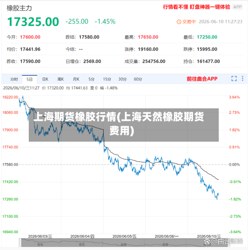 上海期货橡胶行情(上海天然橡胶期货费用)-第2张图片