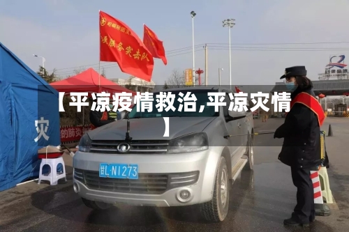 【平凉疫情救治,平凉灾情】