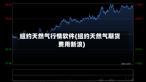 纽约天然气行情软件(纽约天然气期货费用新浪)-第2张图片
