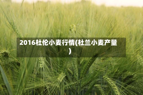 2016杜伦小麦行情(杜兰小麦产量)