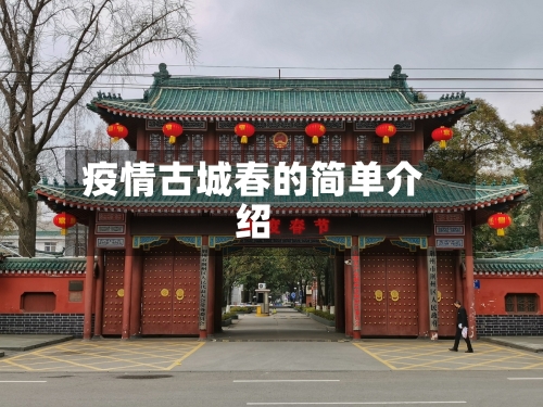 疫情古城春的简单介绍-第2张图片