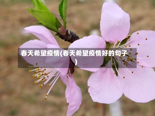 春天希望疫情(春天希望疫情好的句子)-第2张图片