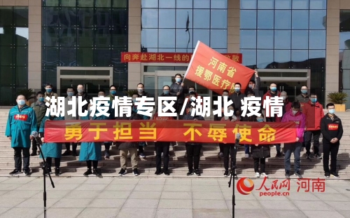 湖北疫情专区/湖北 疫情