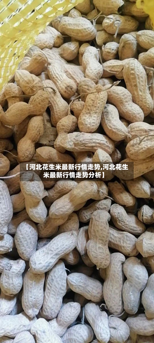 【河北花生米最新行情走势,河北花生米最新行情走势分析】-第3张图片