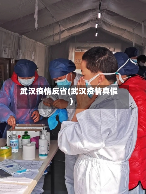 武汉疫情反省(武汉疫情真假)-第2张图片