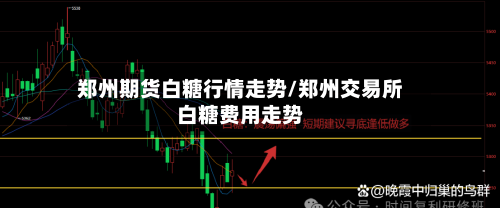 郑州期货白糖行情走势/郑州交易所白糖费用走势