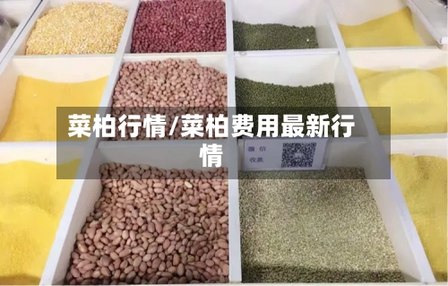 菜柏行情/菜柏费用最新行情-第3张图片