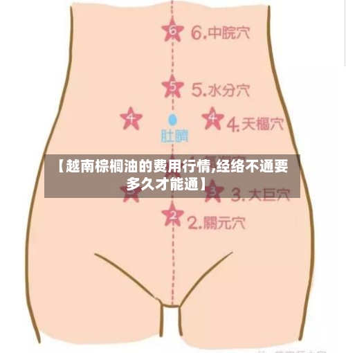【越南棕榈油的费用行情,经络不通要多久才能通】-第3张图片