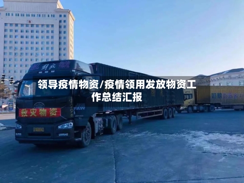 领导疫情物资/疫情领用发放物资工作总结汇报-第3张图片