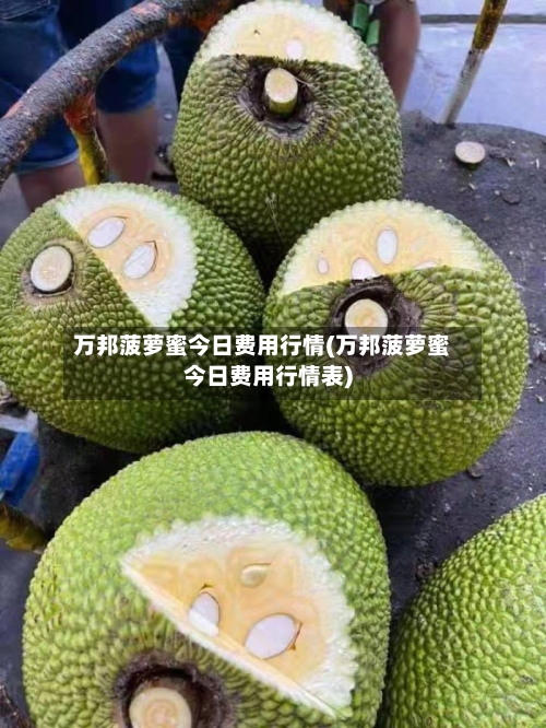 万邦菠萝蜜今日费用行情(万邦菠萝蜜今日费用行情表)-第2张图片