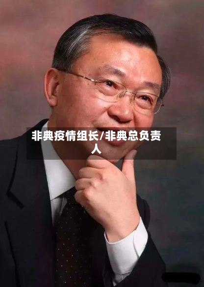 非典疫情组长/非典总负责人-第2张图片
