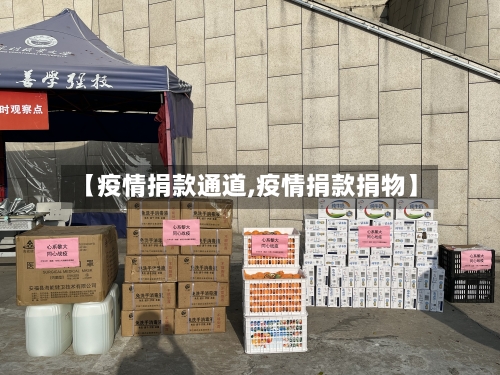 【疫情捐款通道,疫情捐款捐物】