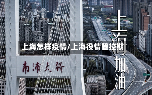 上海怎样疫情/上海役情管控期
