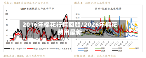 2016年棉花行情回顾/2026年棉花费用最新