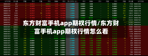 东方财富手机app期权行情/东方财富手机app期权行情怎么看-第3张图片