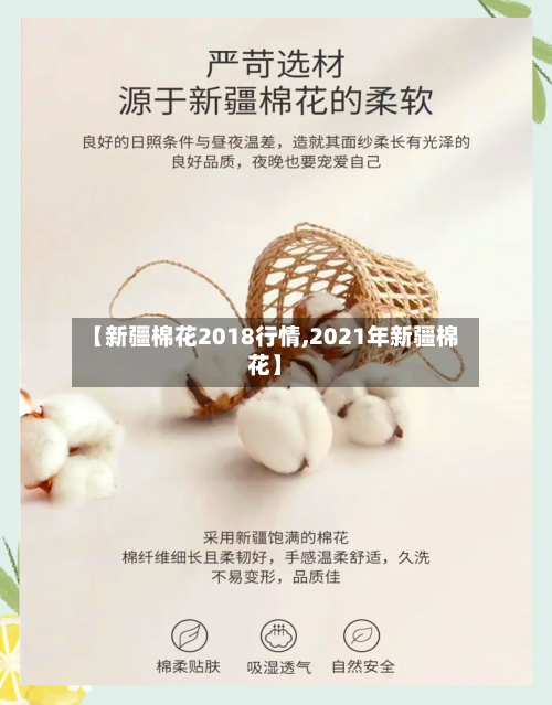 【新疆棉花2018行情,2021年新疆棉花】-第2张图片