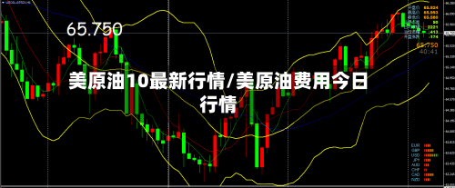 美原油10最新行情/美原油费用今日行情-第2张图片