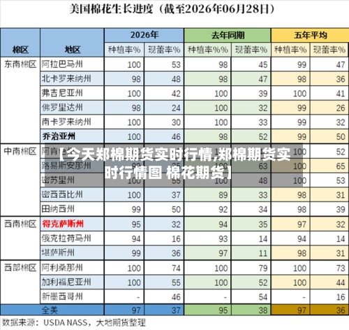 【今天郑棉期货实时行情,郑棉期货实时行情图 棉花期货】-第2张图片