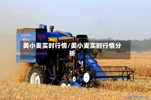 美小麦实时行情/美小麦实时行情分析-第3张图片