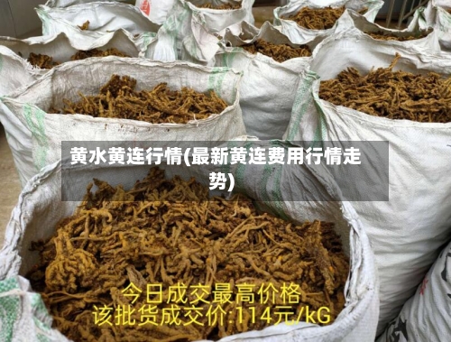 黄水黄连行情(最新黄连费用行情走势)
