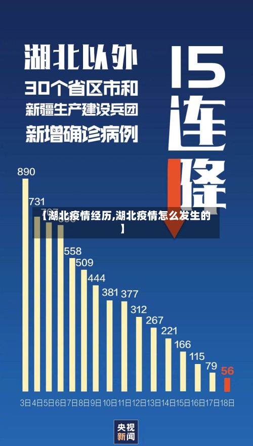 【湖北疫情经历,湖北疫情怎么发生的】-第2张图片