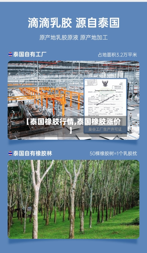 【泰国橡胶行情,泰国橡胶涨价】-第2张图片